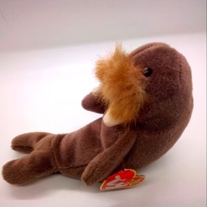 Ty beanie baby Walrus